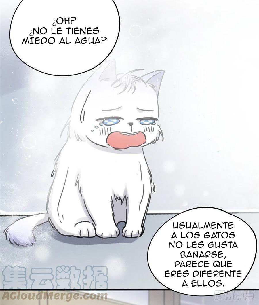 42 Tengo que trabajar duro para ser un gato hoy!