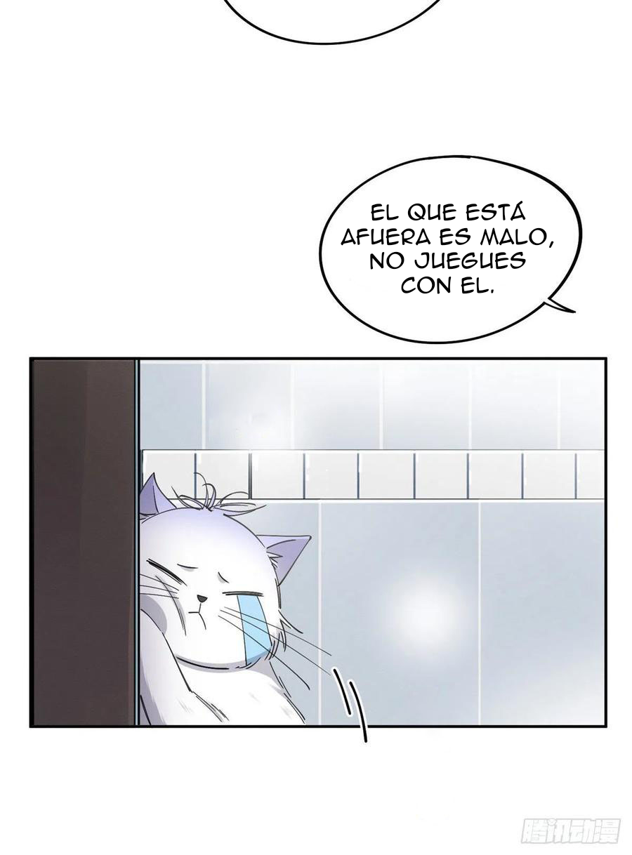 14 Tengo que trabajar duro para ser un gato hoy!