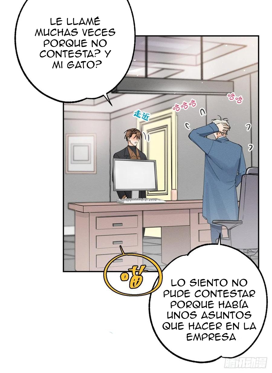 28 Tengo que trabajar duro para ser un gato hoy!