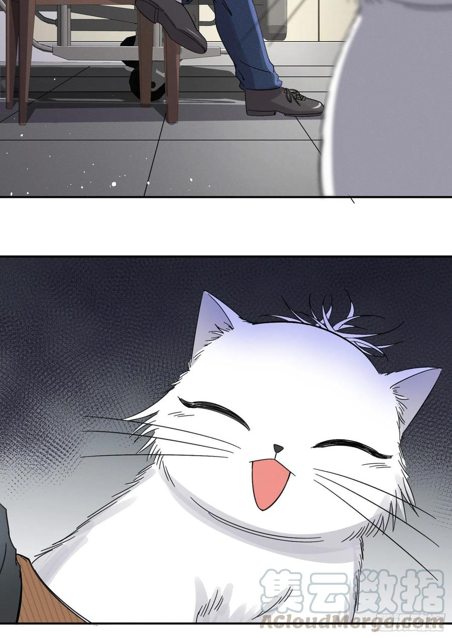 31 Tengo que trabajar duro para ser un gato hoy!