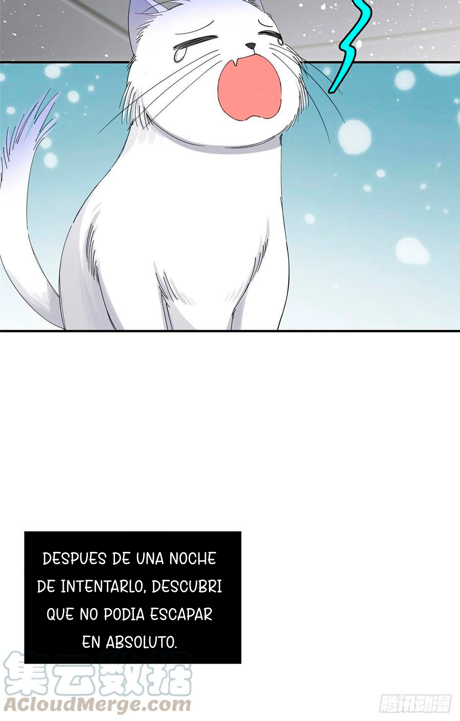 4 Tengo que trabajar duro para ser un gato hoy!