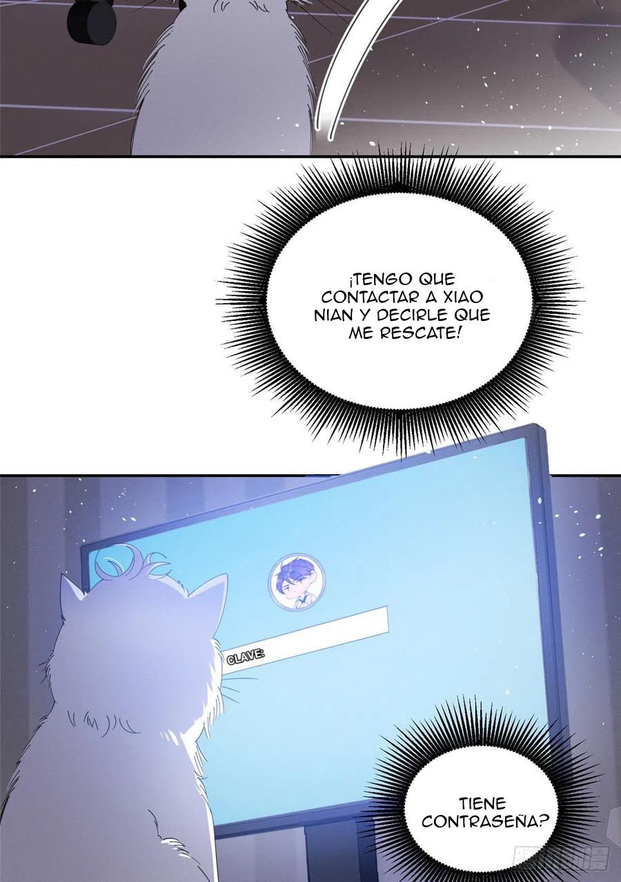 12 Tengo que trabajar duro para ser un gato hoy!