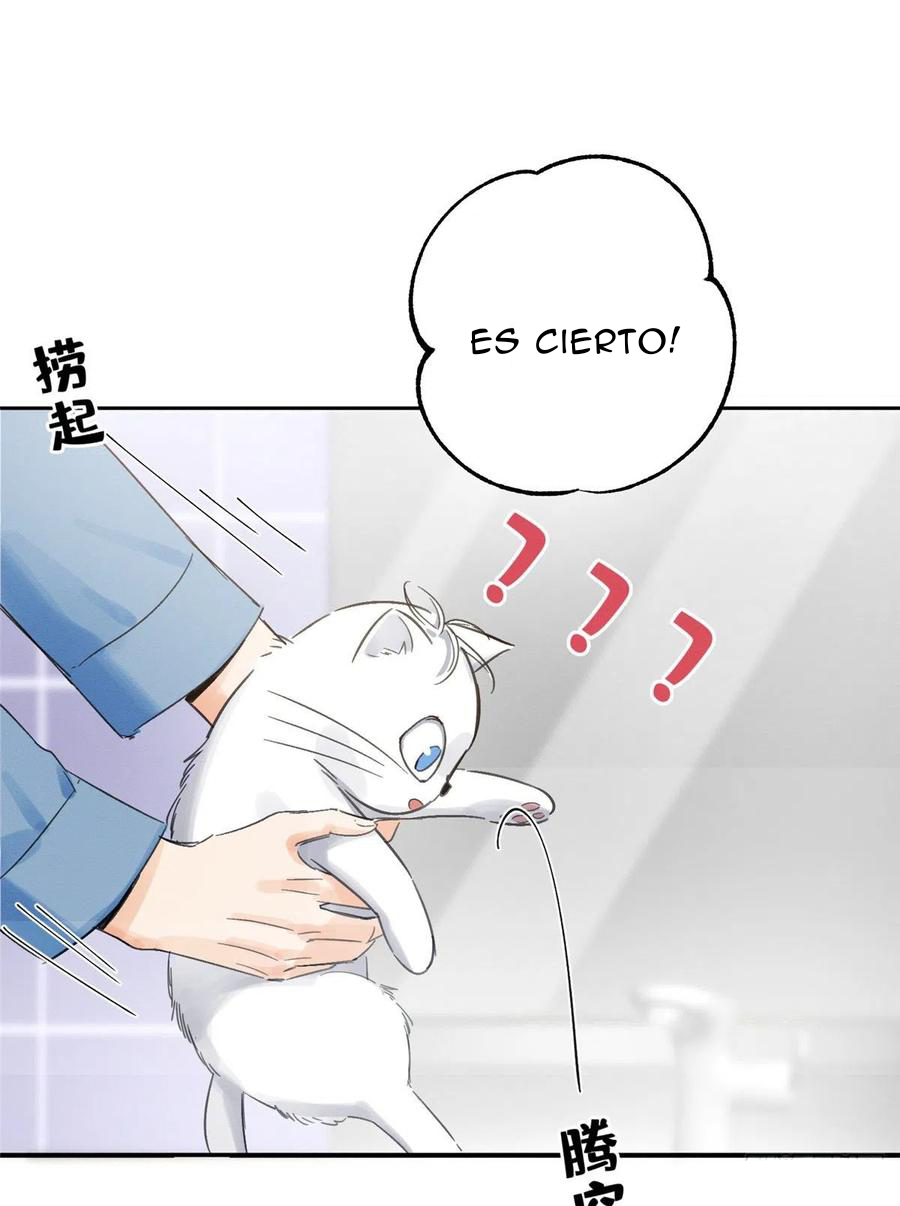 12 Tengo que trabajar duro para ser un gato hoy!