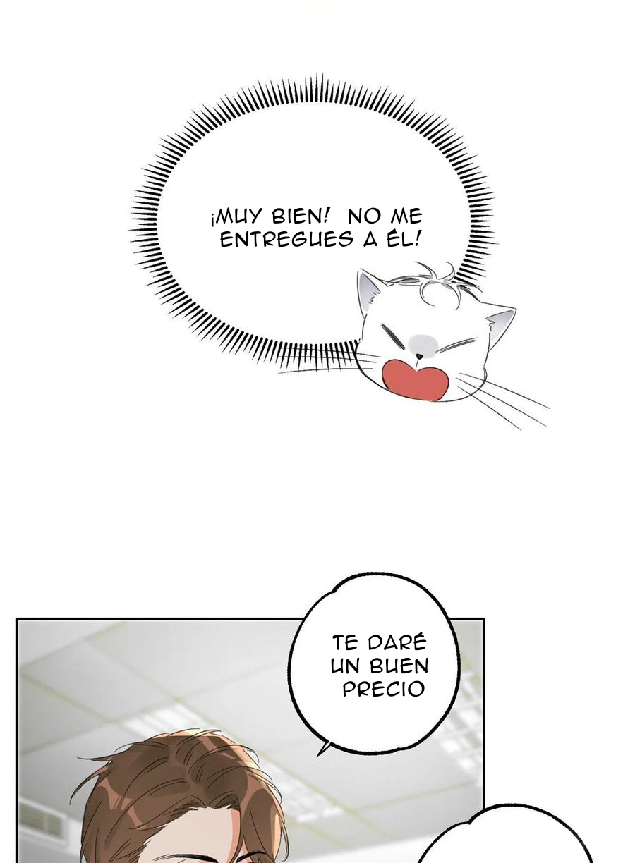 36 Tengo que trabajar duro para ser un gato hoy!