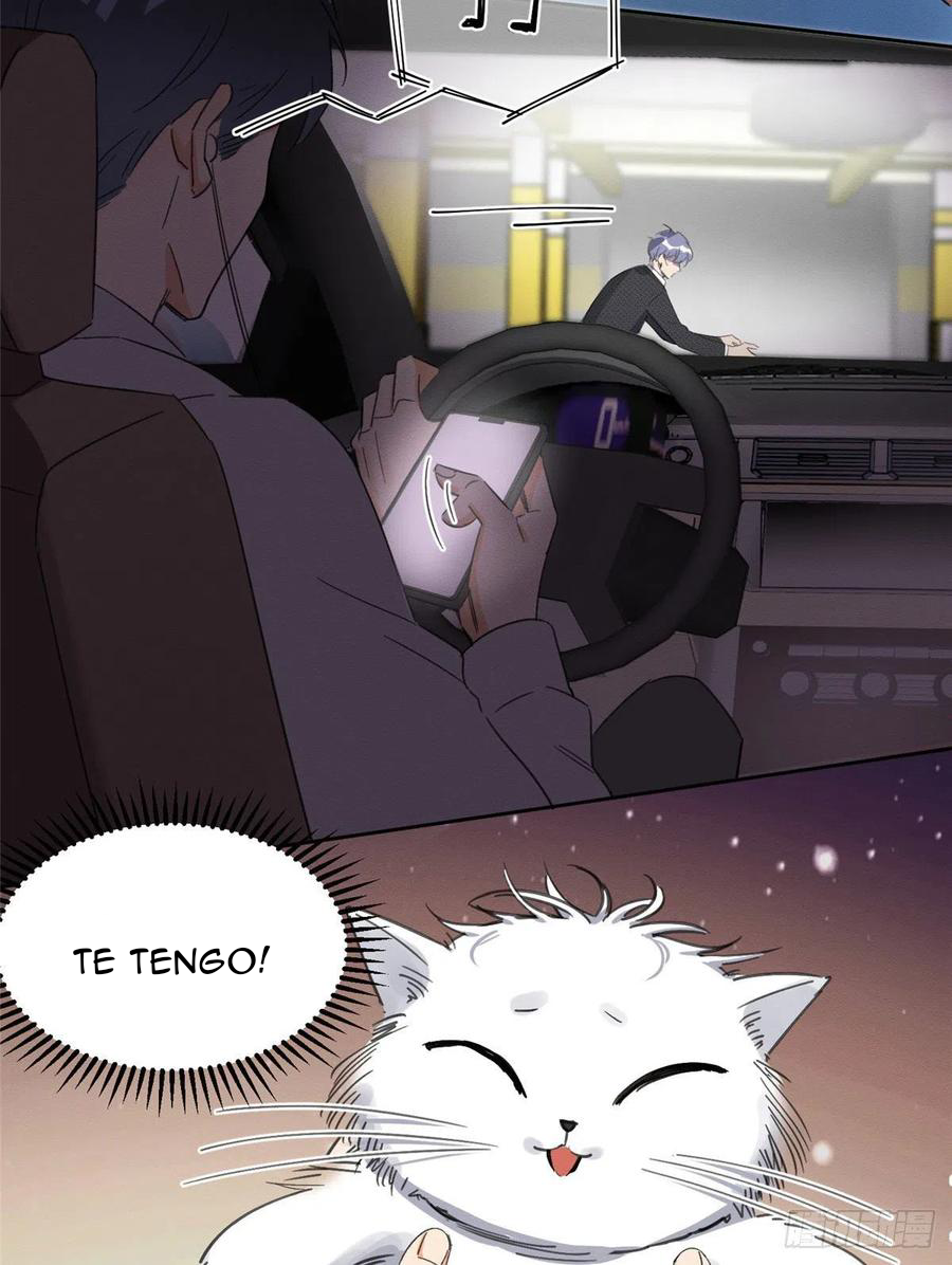 44 Tengo que trabajar duro para ser un gato hoy!