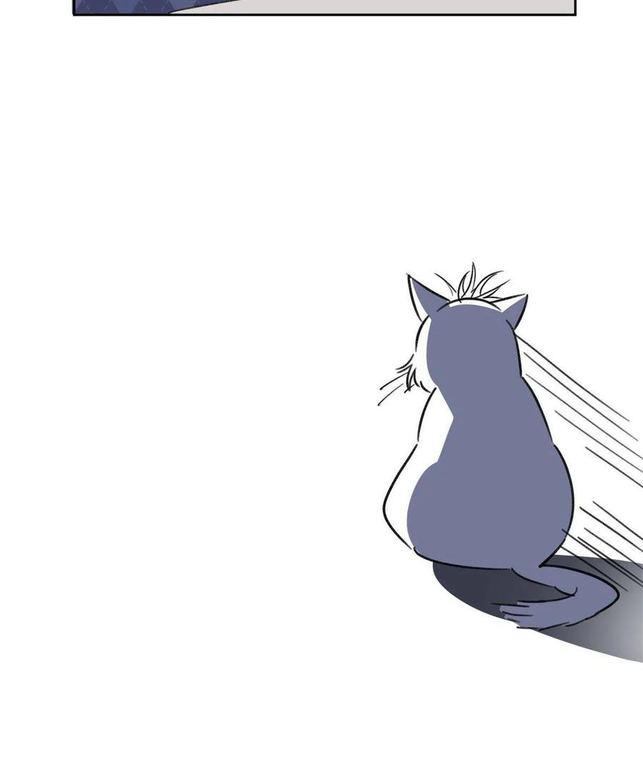 44 Tengo que trabajar duro para ser un gato hoy!