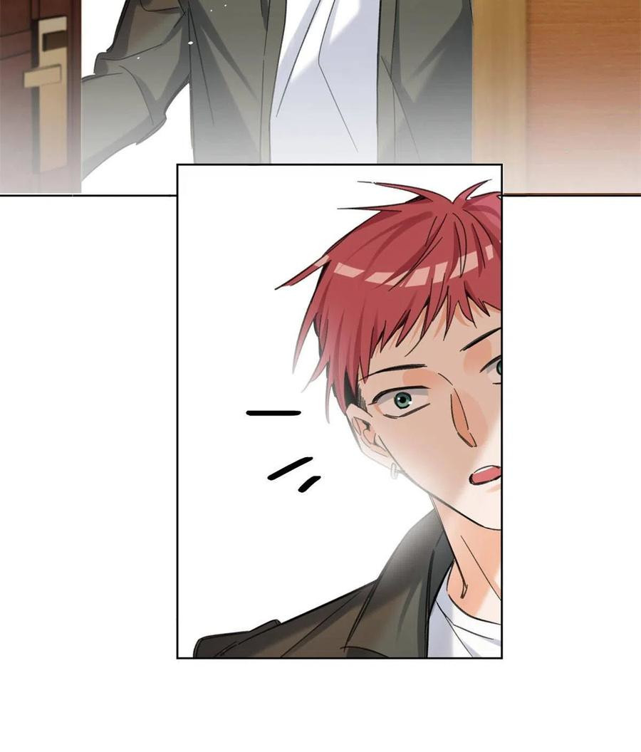 5 Tengo que trabajar duro para ser un gato hoy!