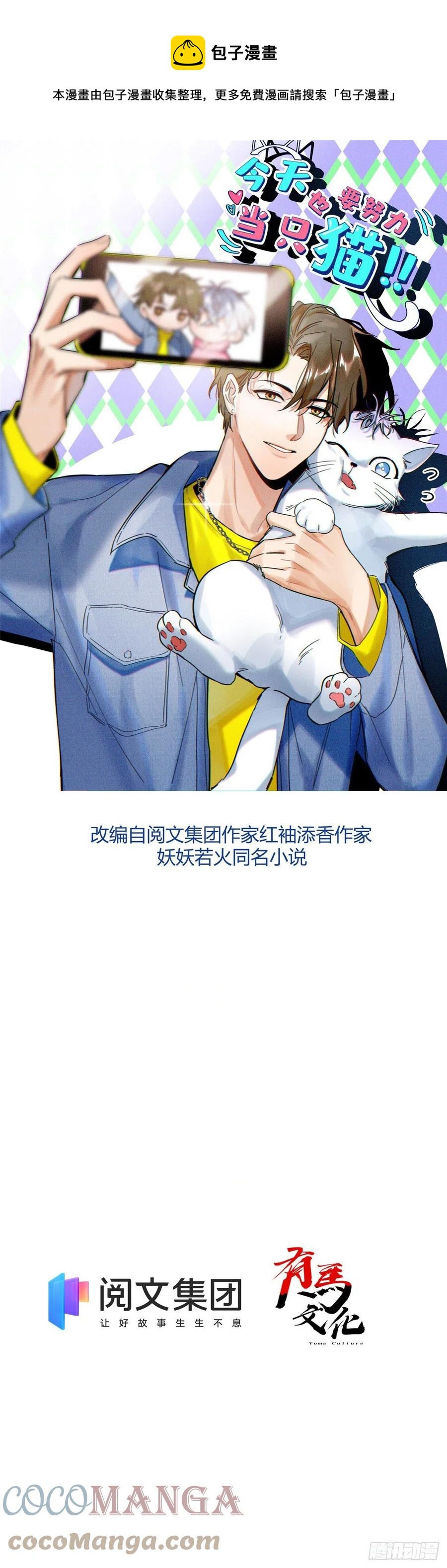 0 Tengo que trabajar duro para ser un gato hoy!