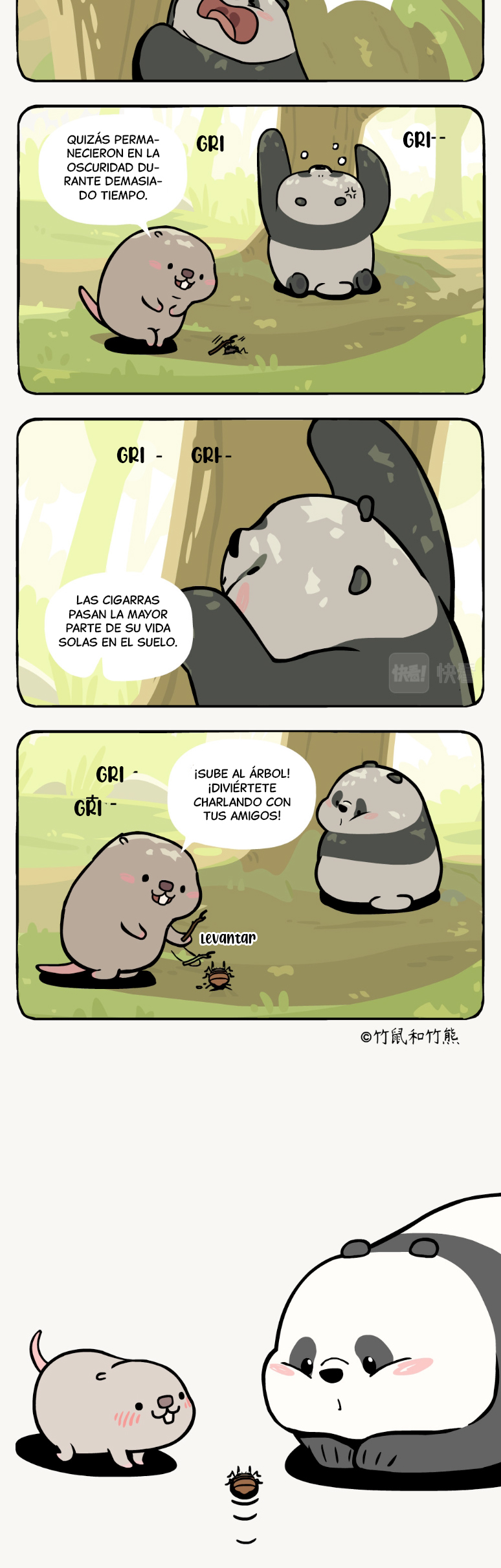 3 compañeros de bambu