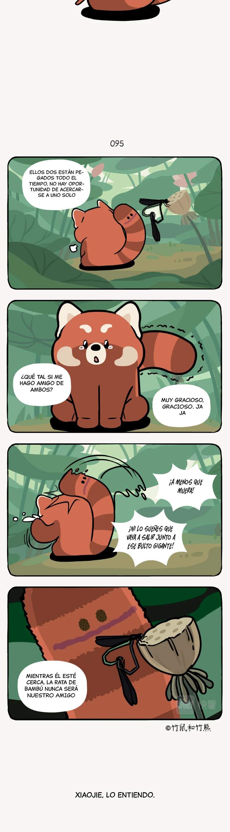 5 compañeros de bambu