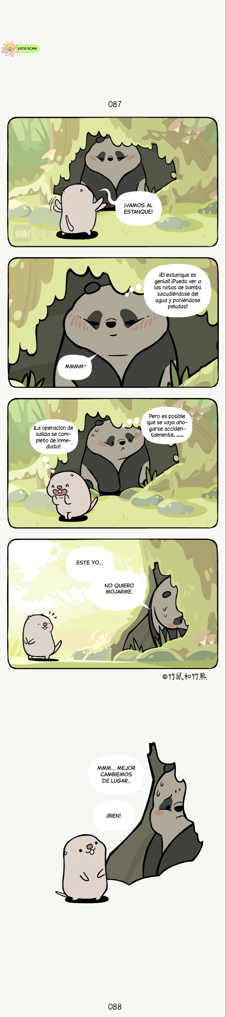 2 compañeros de bambu