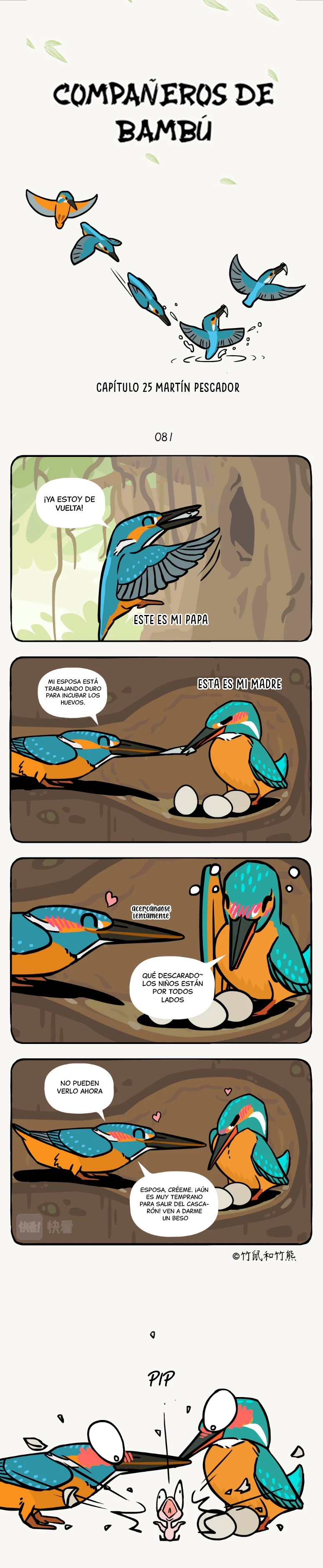 1 compañeros de bambu