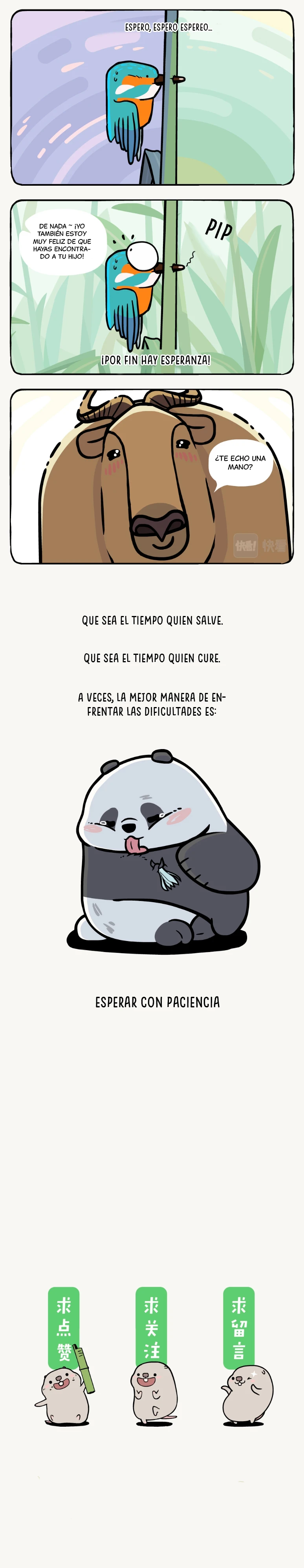 5 compañeros de bambu