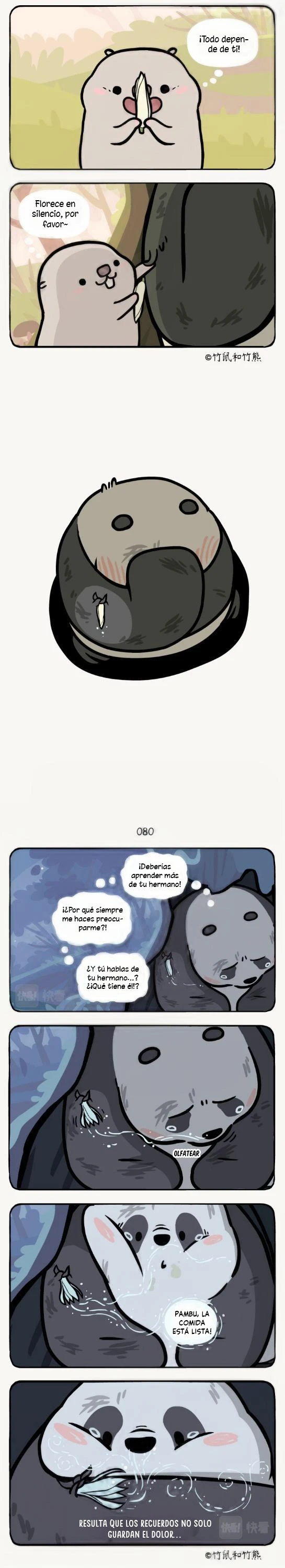 4 compañeros de bambu