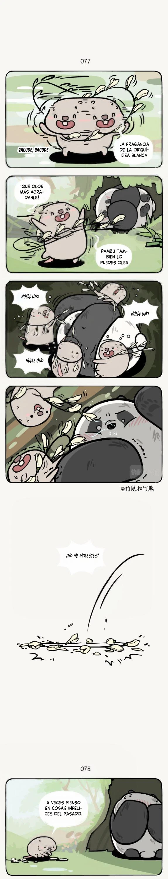 2 compañeros de bambu