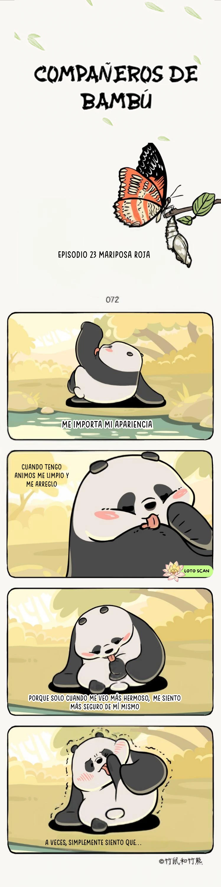 1 compañeros de bambu