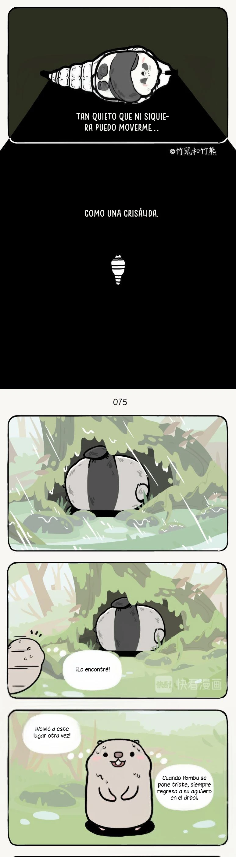 4 compañeros de bambu