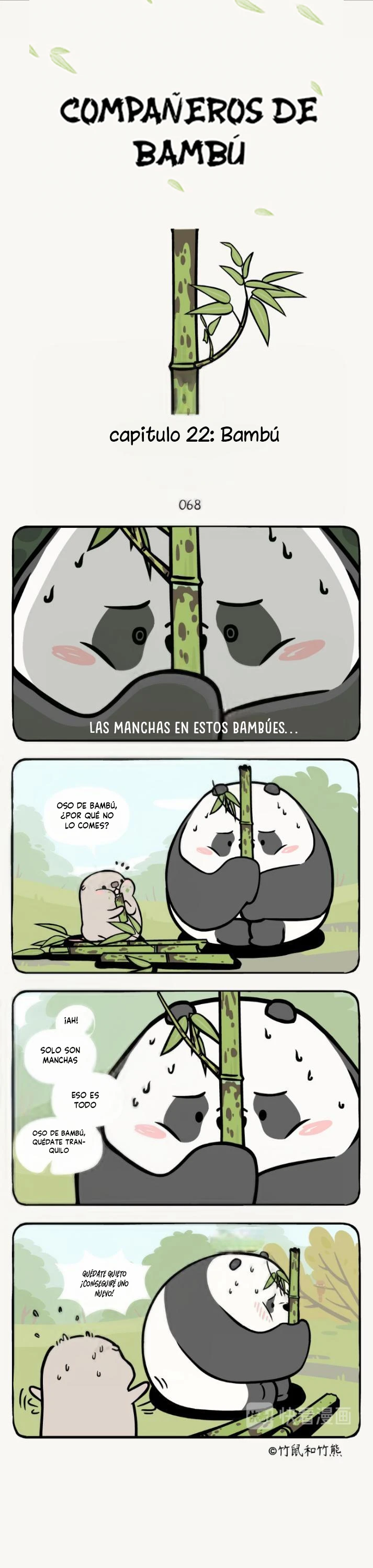 1 compañeros de bambu