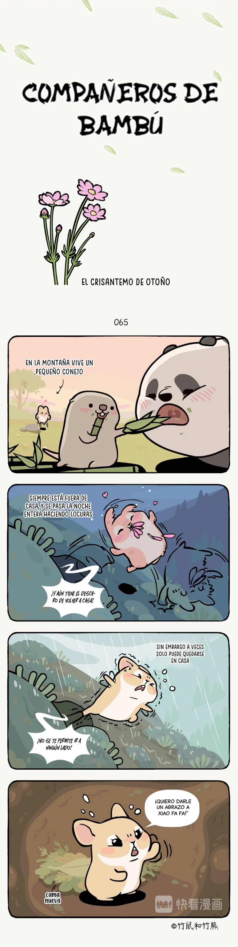 1 compañeros de bambu