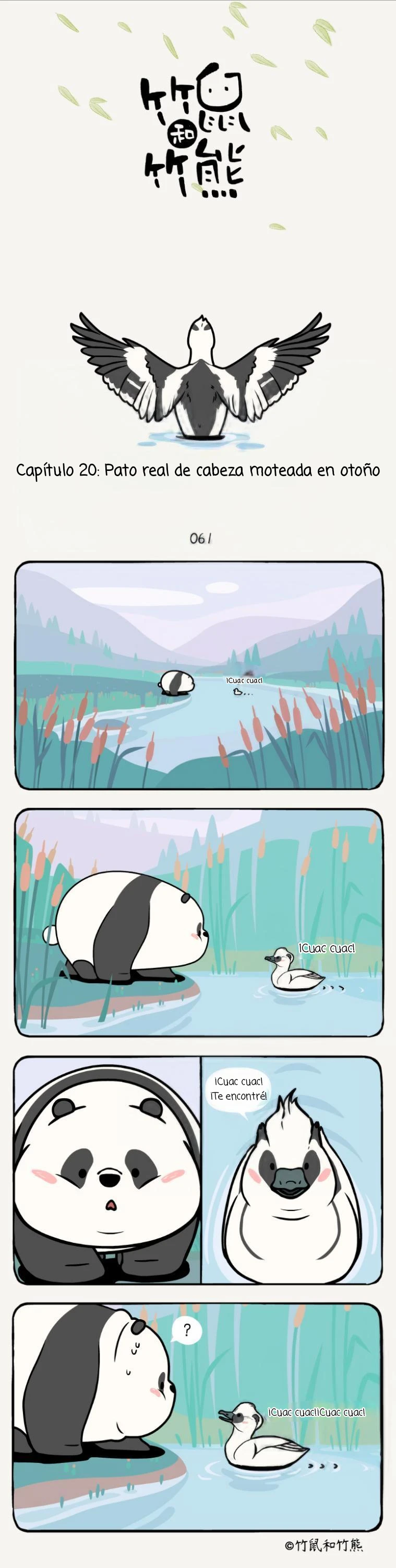 1 compañeros de bambu