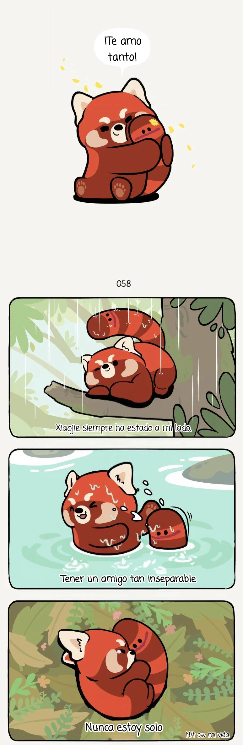 2 compañeros de bambu