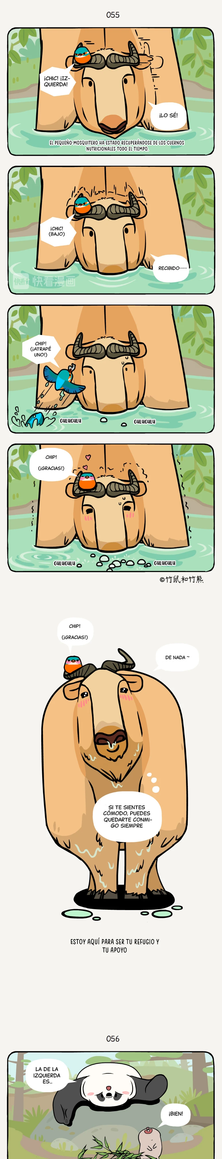 3 compañeros de bambu