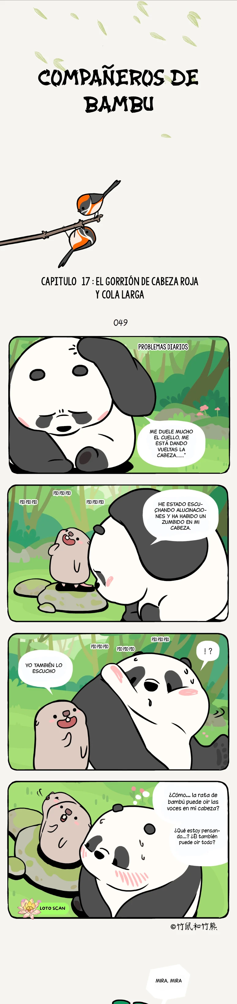 1 compañeros de bambu