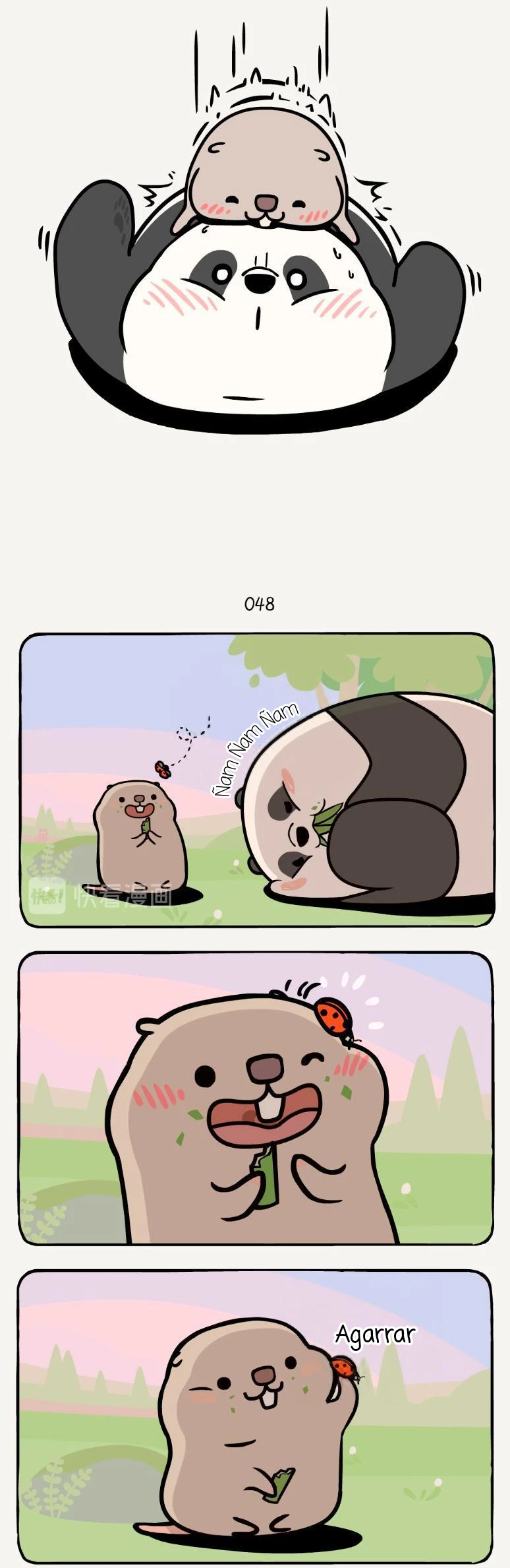 4 compañeros de bambu