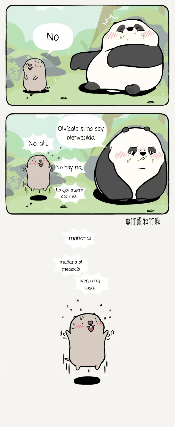 2 compañeros de bambu