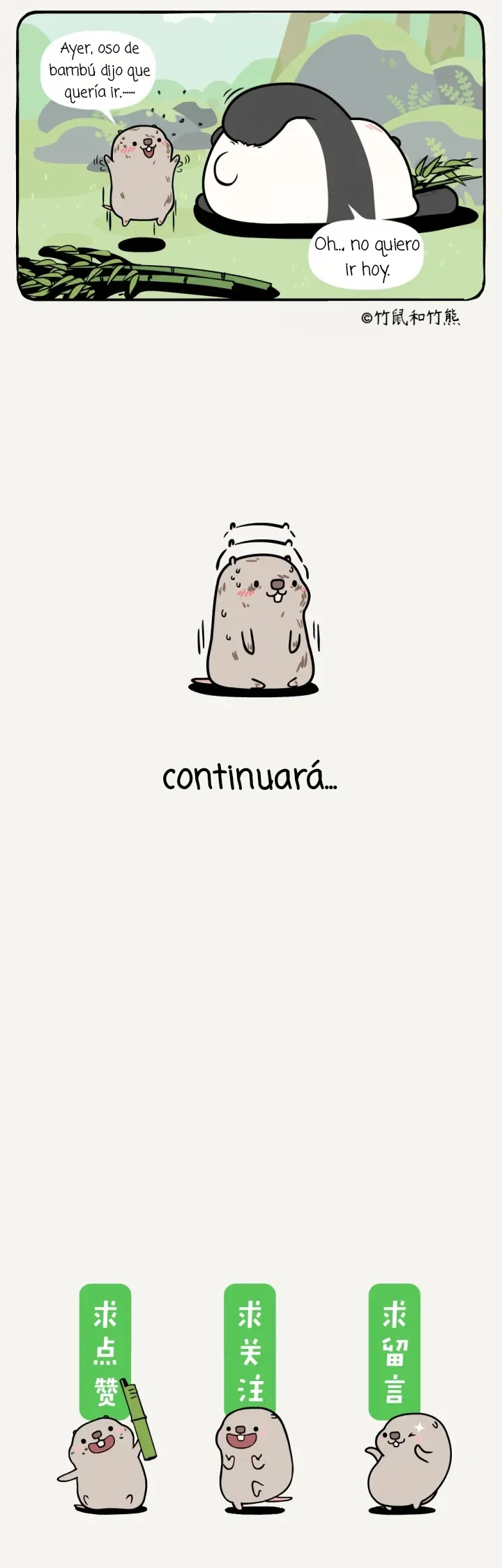 5 compañeros de bambu