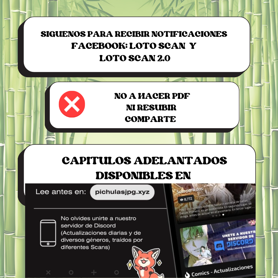 5 compañeros de bambu