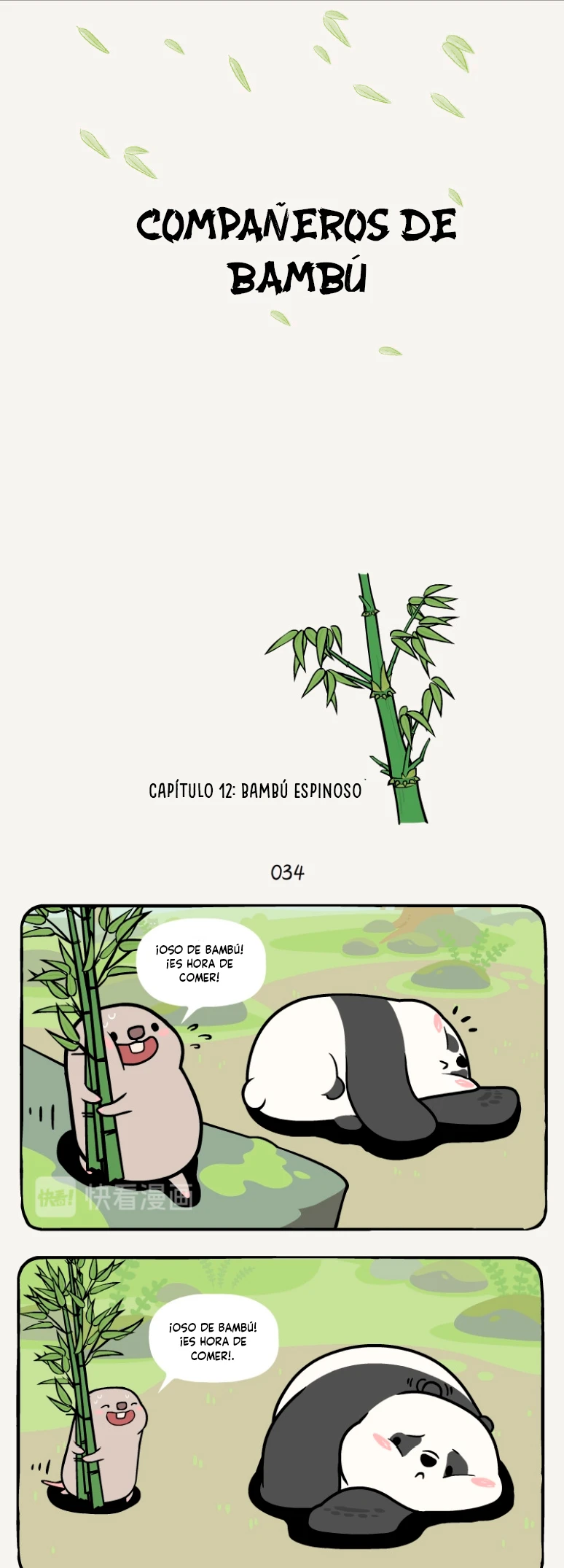 1 compañeros de bambu