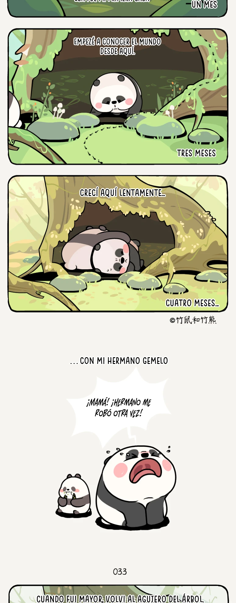 2 compañeros de bambu