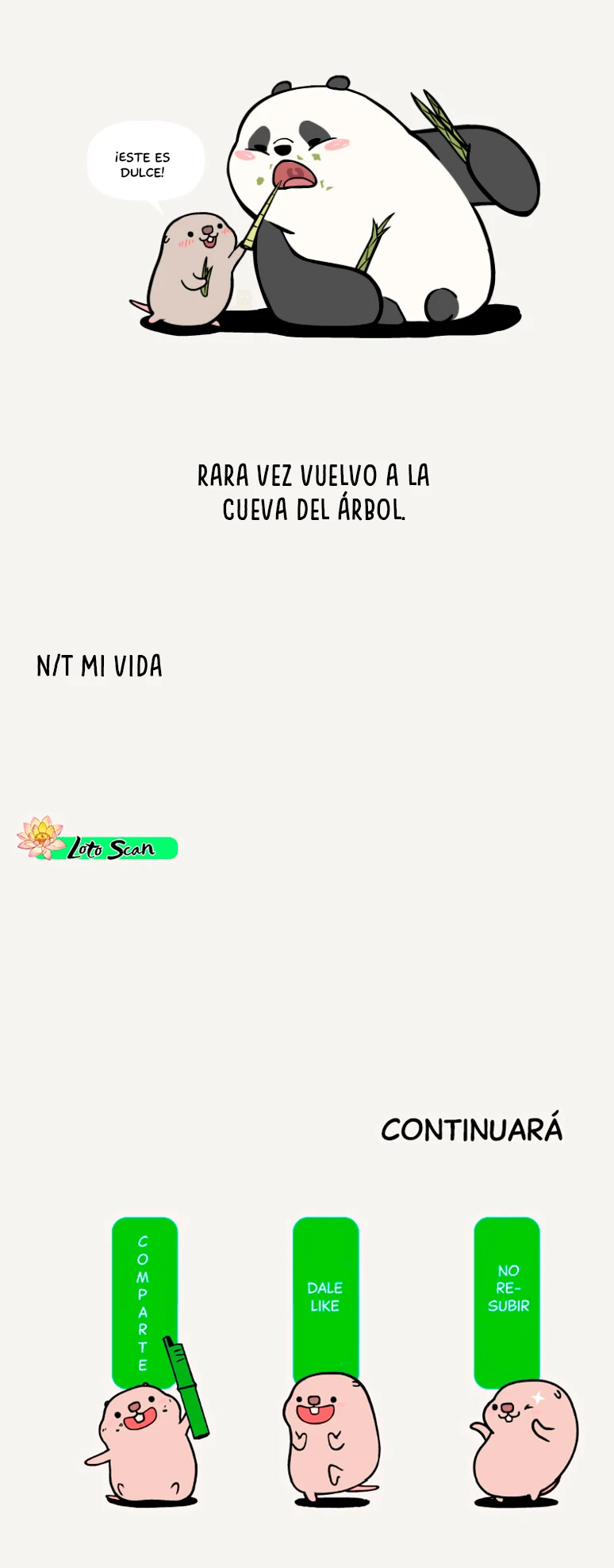 4 compañeros de bambu