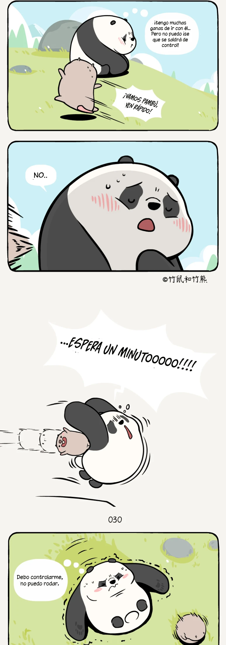 2 compañeros de bambu