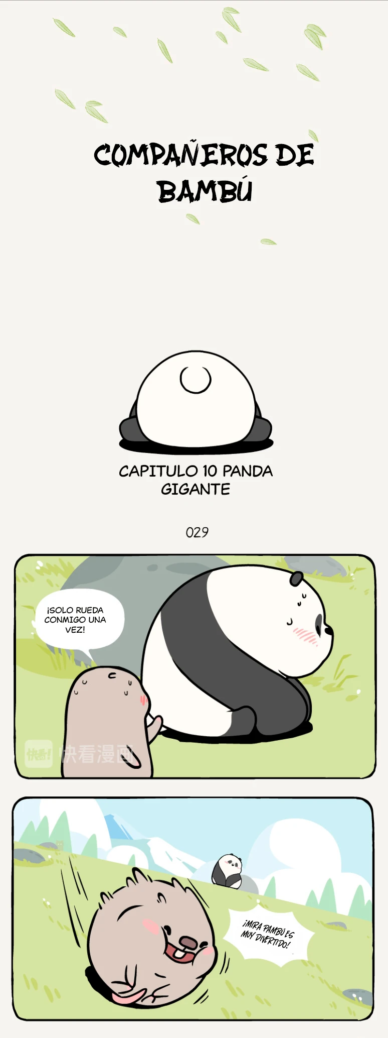 1 compañeros de bambu