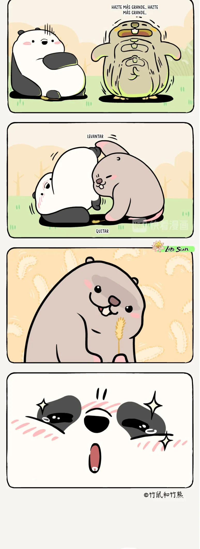 4 compañeros de bambu