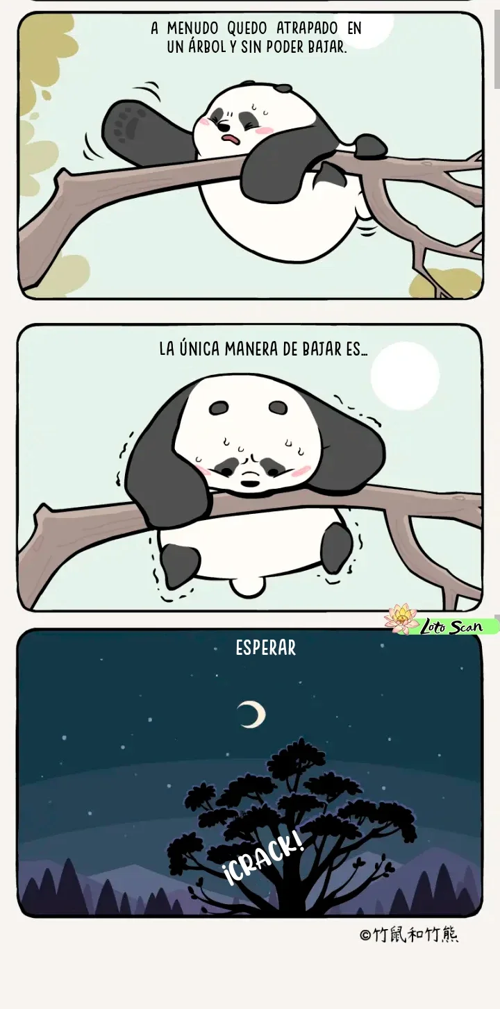 2 compañeros de bambu