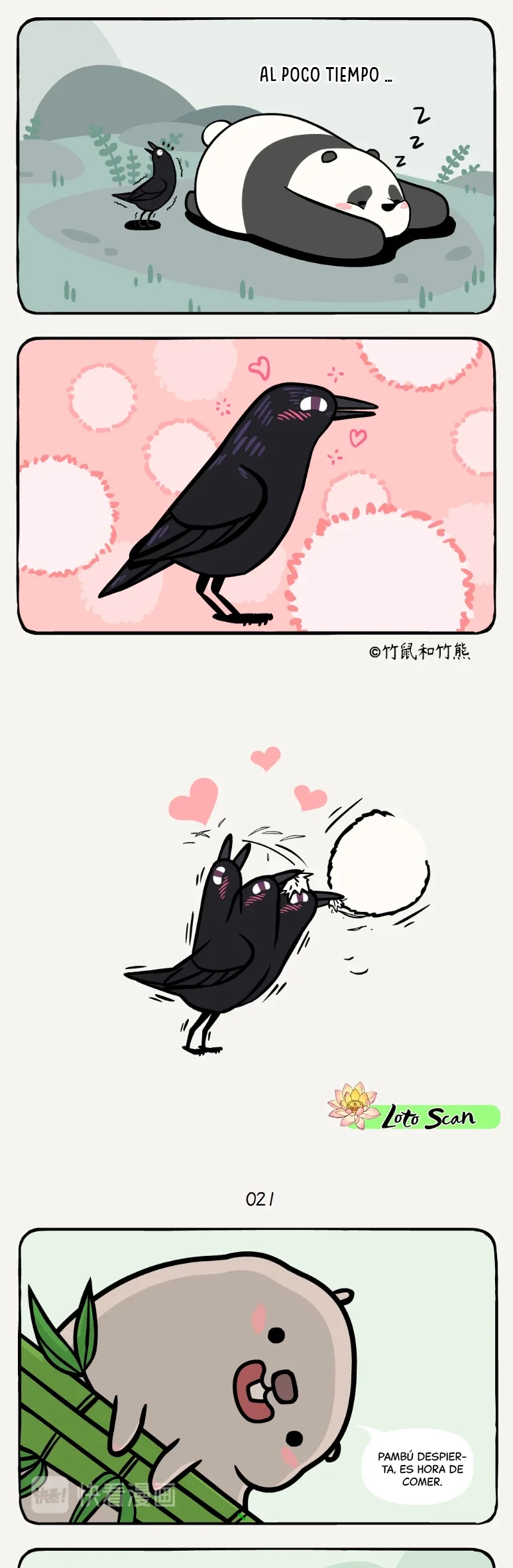 2 compañeros de bambu