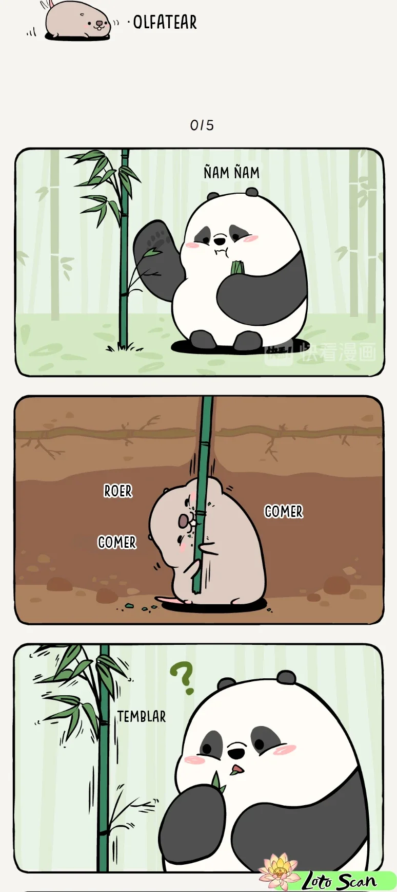 3 compañeros de bambu