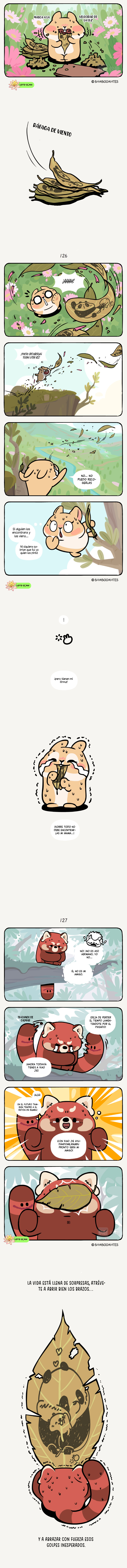 2 compañeros de bambu