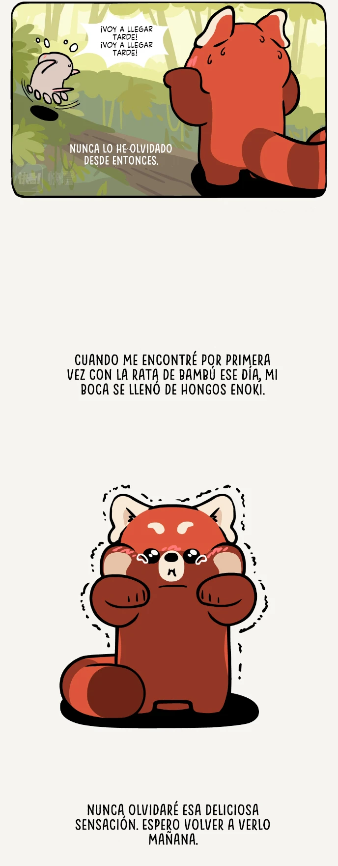 9 compañeros de bambu