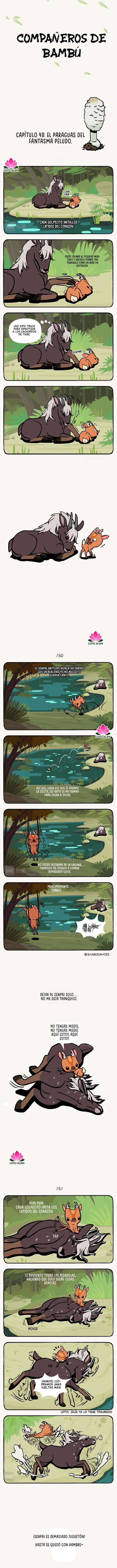 1 compañeros de bambu