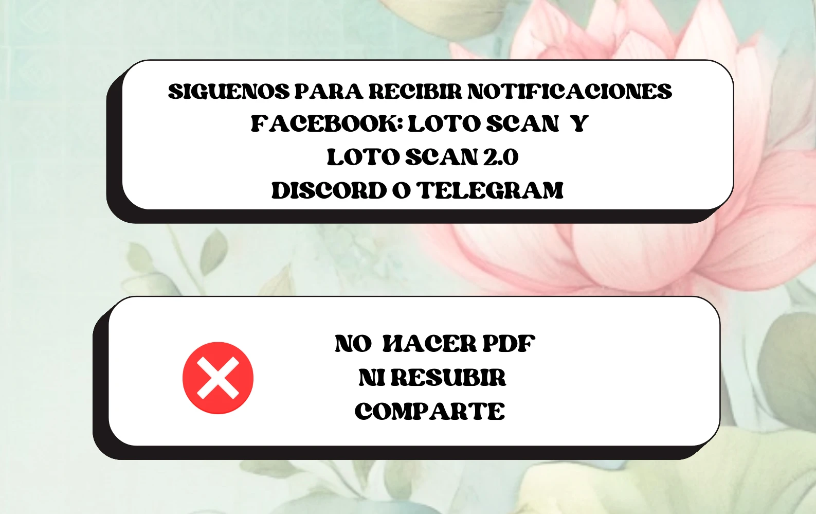 4 compañeros de bambu