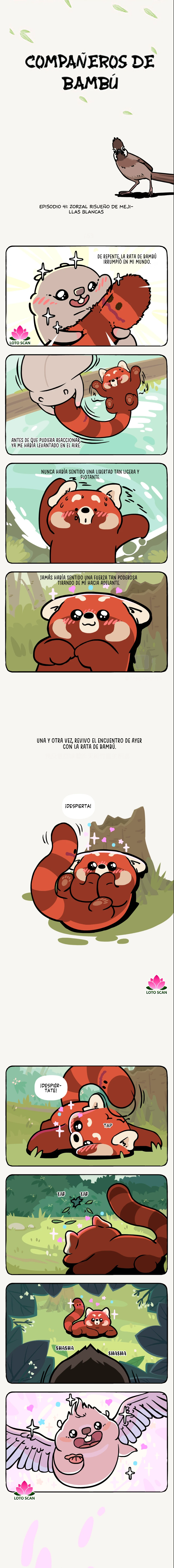 1 compañeros de bambu