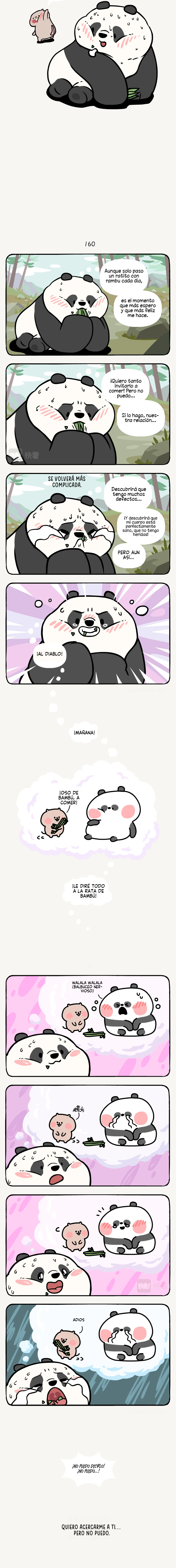 2 compañeros de bambu