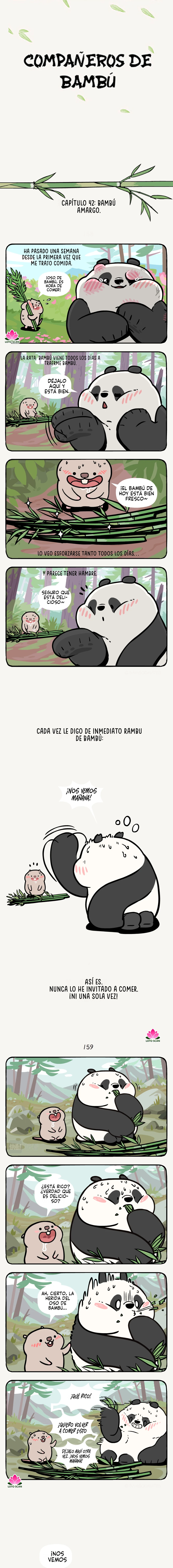 1 compañeros de bambu