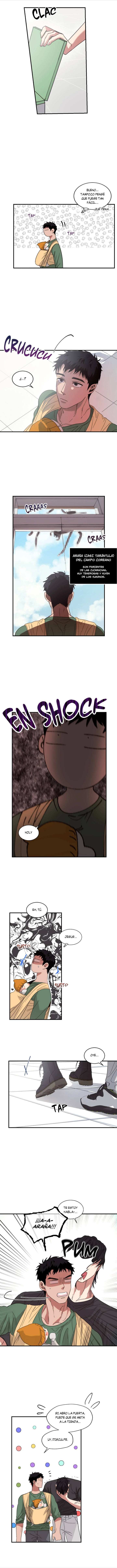 8 Cuando el Sol se Asoma