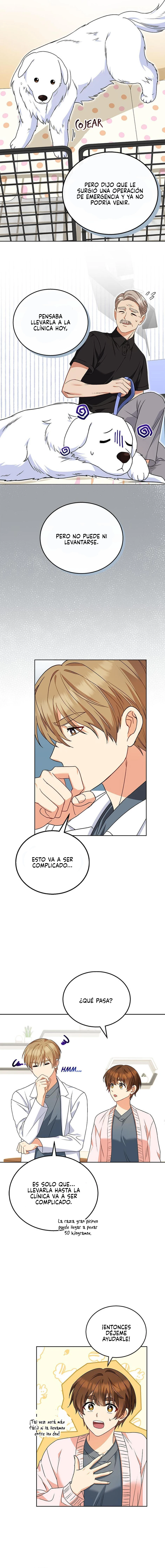 9 Veterinario Hola