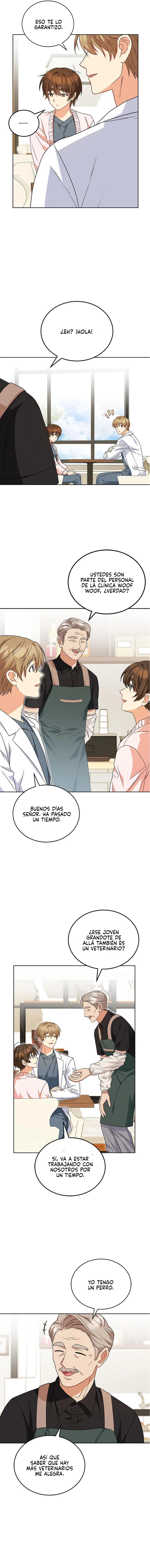 6 Veterinario Hola